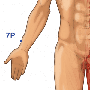 Lieque - Point d'acupuncture 7P - Méridien du Poumon
