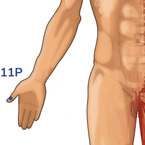 Shaoshang - Point d'acupuncture 11P - Méridien du Poumon