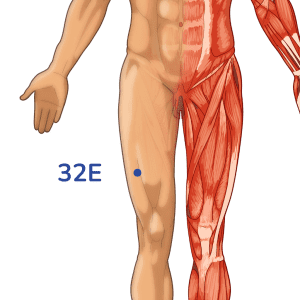 Futu - Punto de acupuntura 32E - Meridiano del estómago