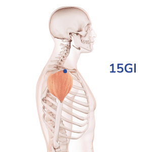 Jianyu - Punto de acupuntura 15GI - Meridiano del intestino grueso