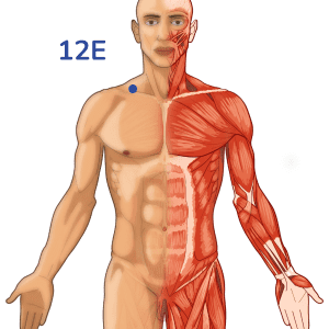 Quepen - Punto de acupuntura 12E - Meridiano del estómago