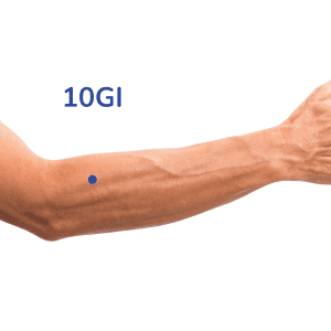 Shousanli - Punto de acupuntura 10GI - Meridiano del intestino grueso