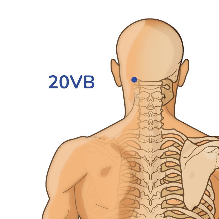 Gallbladder Meridian: Route And Acupuncture Points