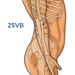 Jingmen - Punto de acupuntura 25VB - Meridiano de la vesícula biliar
