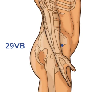 Juliao - Punto de acupuntura 26VB - Meridiano de la vesícula biliar