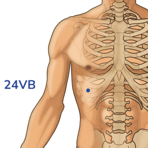 Riyue - Punto de acupuntura 24VB - Meridiano de la vesícula biliar