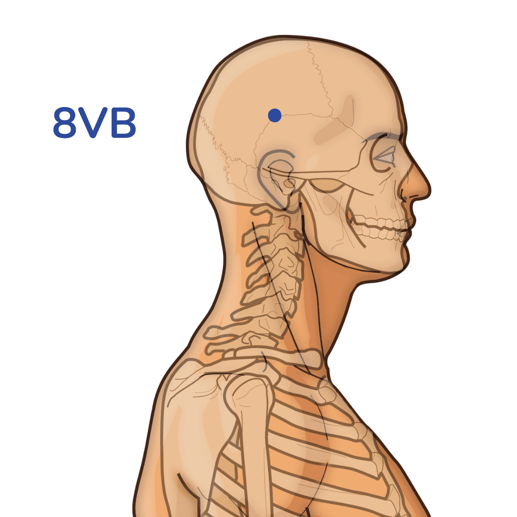 Gallbladder Meridian: Route And Acupuncture Points