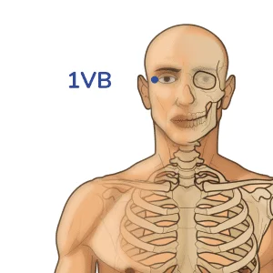 Tongziliao - Punto de acupuntura 1VB - Meridiano de la vesícula biliar