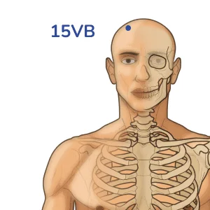 Toulinqi - Punto de acupuntura 15VB - Meridiano de la vesícula biliar