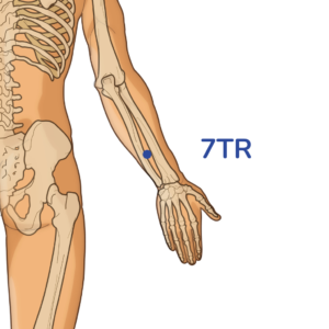Huizong - Point d'acupuncture 7TR - Méridien du Triple Réchauffeur