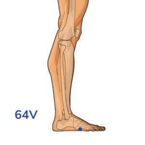 Jinggu - Point d'acupuncture 64V - Méridien de la Vessie