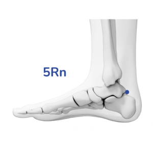 Shuiquan - Point d'acupuncture 5Rn - Méridien du Rein